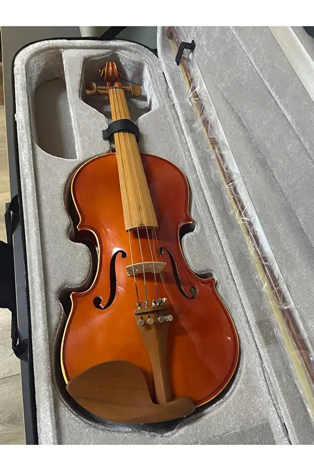 Profesyonel 4/4 Kare Kutu Gül Klavye Parlak Cila Keman