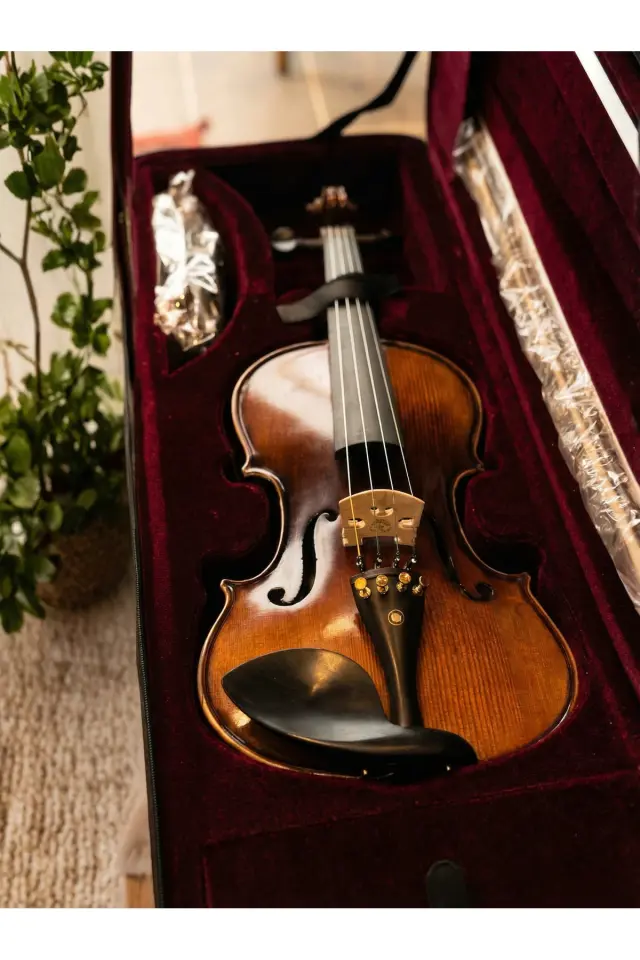 VL-904A 4/4 Keman Seti (Duvar Askısı, Yastık, Reçine)