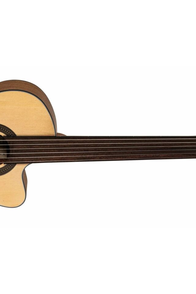 Vg250cpds Perdesiz Klasik Gitar ( Pena + Taşıma Kılıfı )