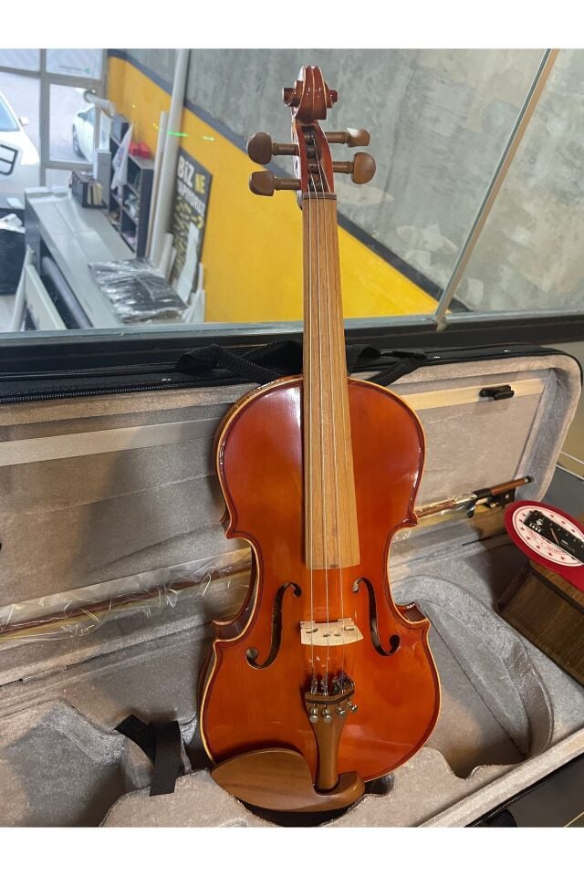 Profesyonel 4/4 Kare Kutu Gül Klavye Parlak Cila Keman