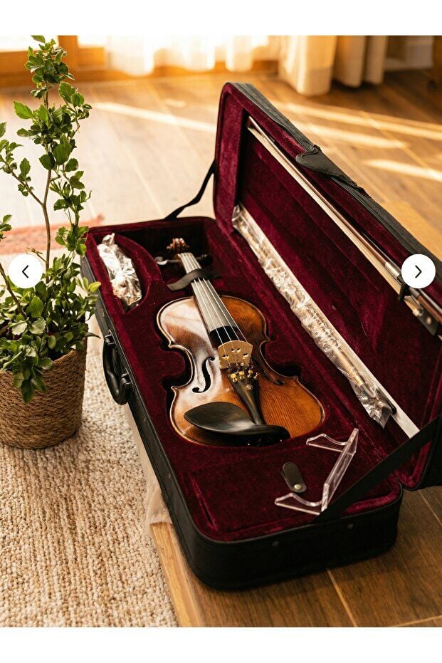 Vivaldi VL-904A 4/4 Keman Seti Premium - Duvar Askısı, Yastık, Reçine Dahil