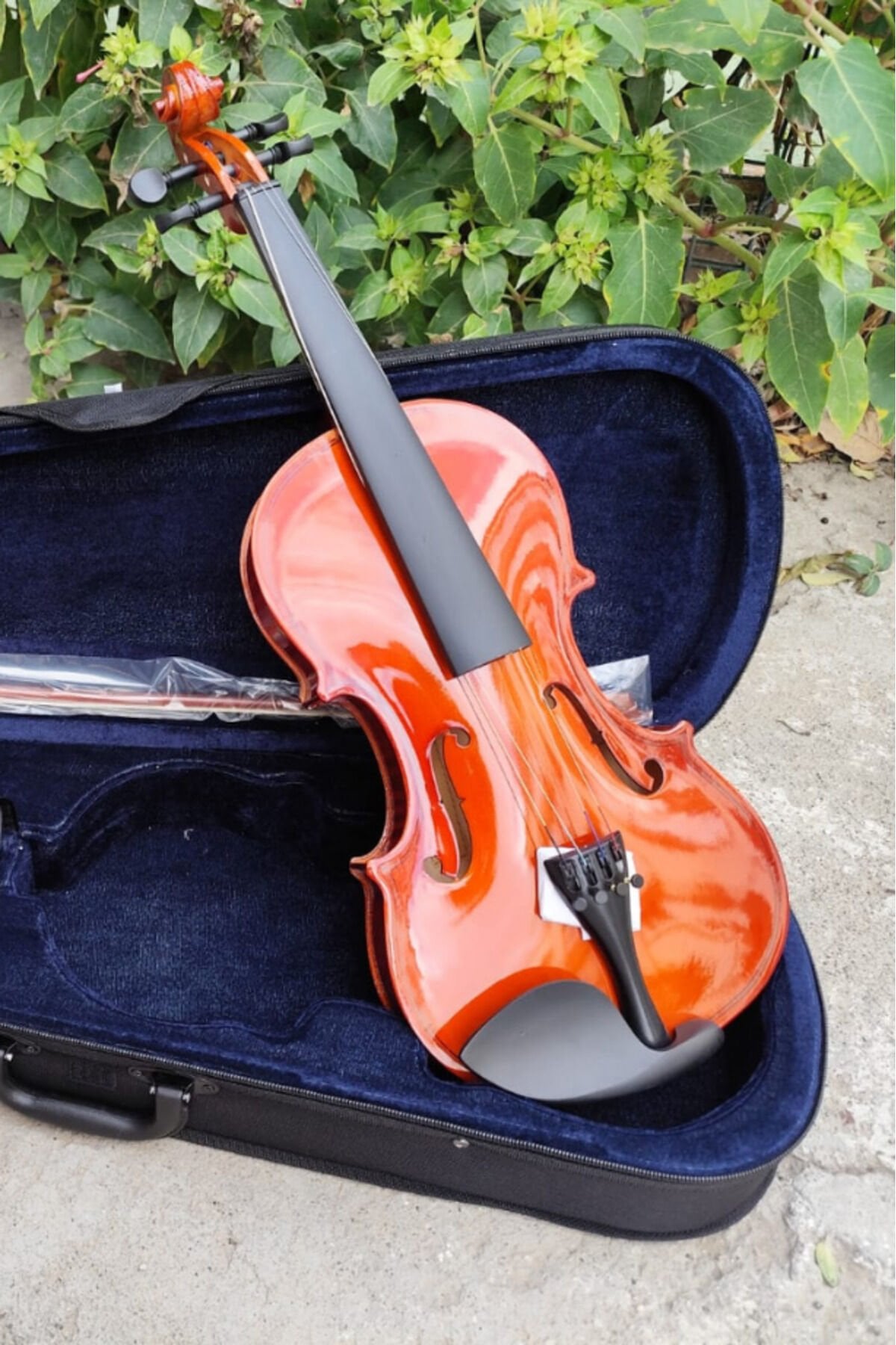 Almeda Parlak 4/4 Keman Yetişkin Kemanı