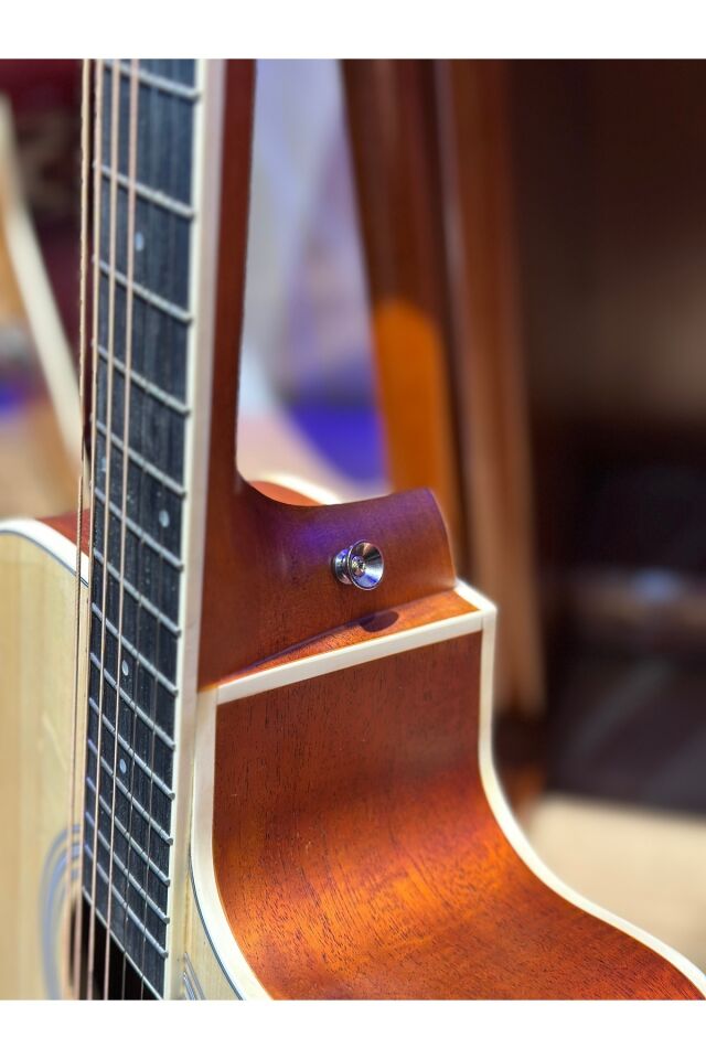 F310nt Kesik Kasa Akustik Gitar 4/4 Yetişkin Boy (KILIF PENA AKORT CİHAZI KAPO SAP AYARI ALYANS)